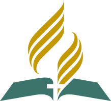 logo-100-retina